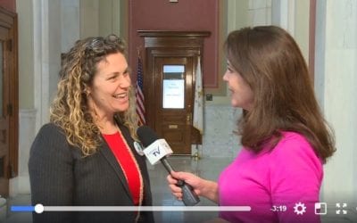 RI Rep. Teresa Tanzi Interview on Guns and Domestic Violence