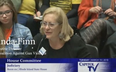 Linda Finn on Concealed Carry Permit Holders