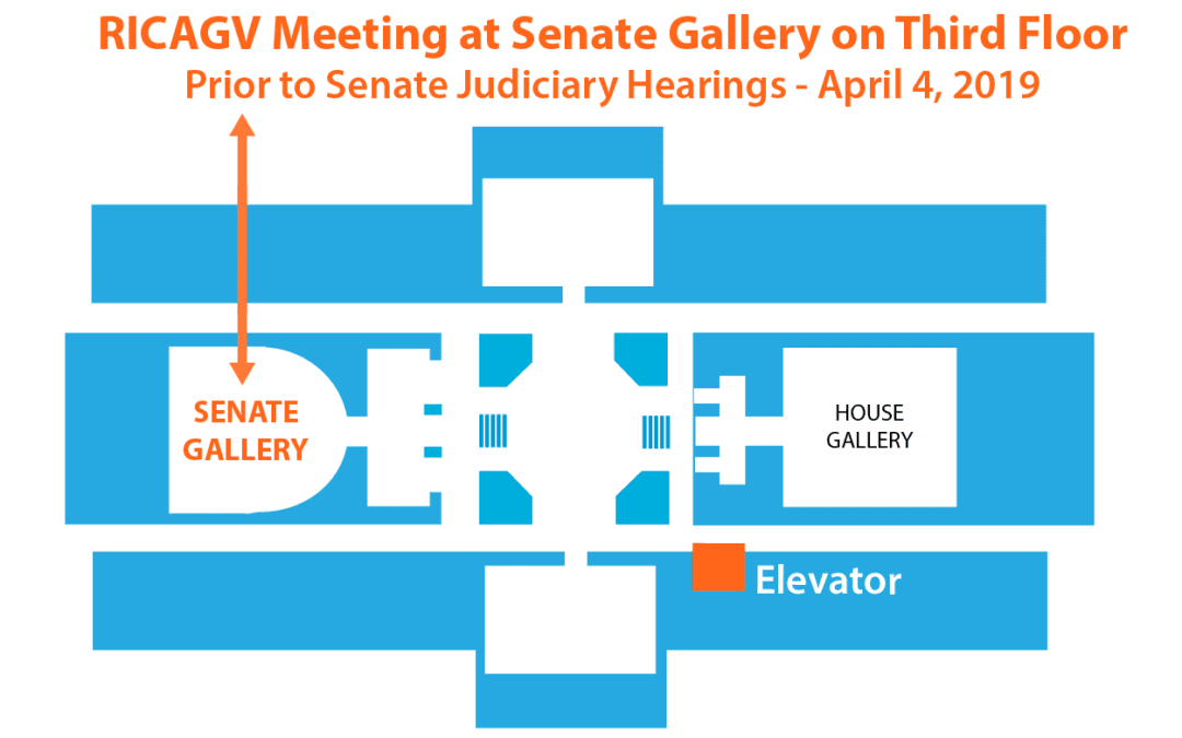 Wear Orange to the Senate Judiciary Hearings