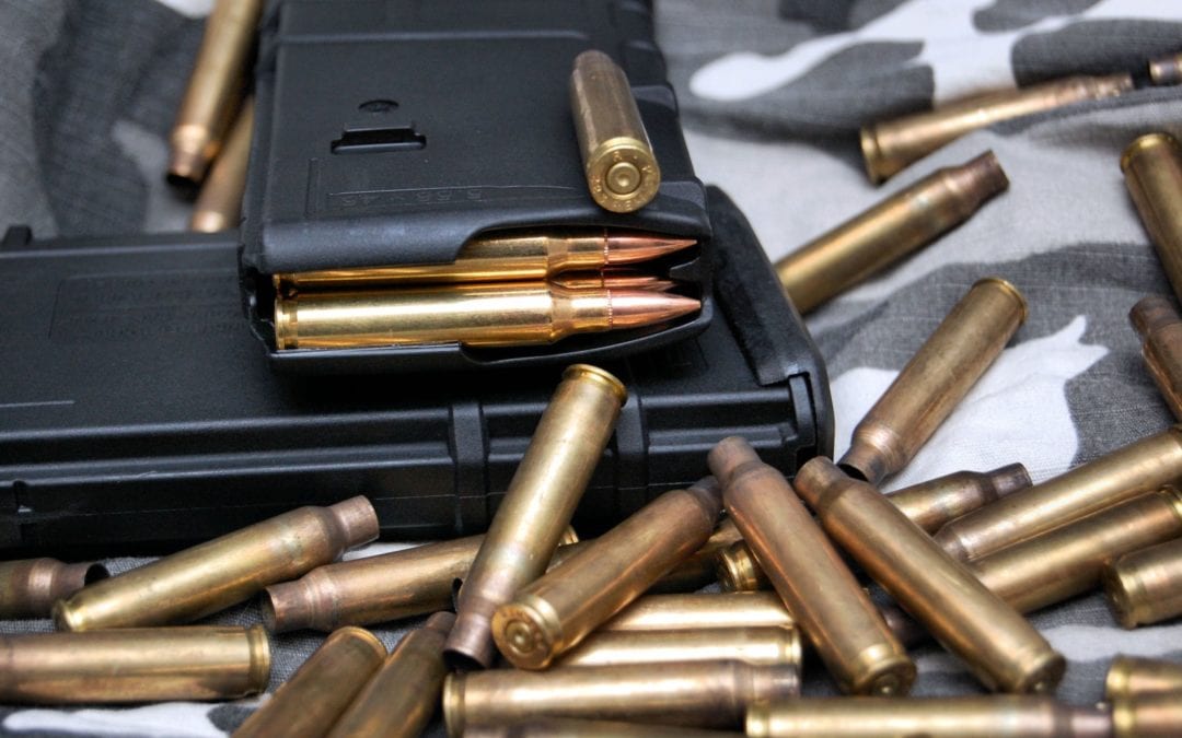 15 of the 20 Deadliest Mass Shootings Included Large Capacity Magazines.